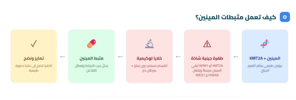 مثبطات المينين: القصة الكاملة لأدويةٍ غيّرت قواعد اللعبة في سرطان الدم